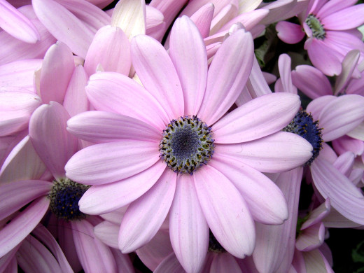 611390 (a): :2200x1650